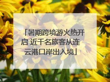 暑期跨境游火热开启 近千名旅客从连云港口岸出入境