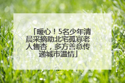 暖心！5名少年清晨采摘助北宅孤寡老人售杏，多方善意传递城市温情