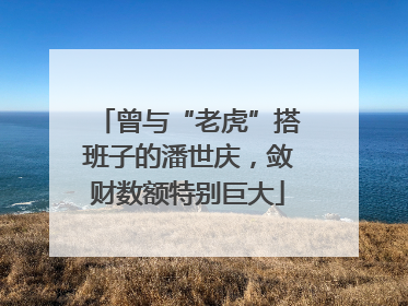曾与“老虎”搭班子的潘世庆，敛财数额特别巨大