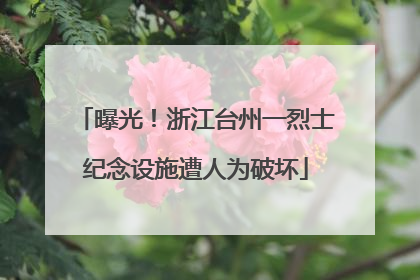 曝光！浙江台州一烈士纪念设施遭人为破坏