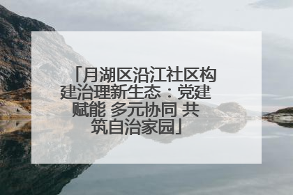 月湖区沿江社区构建治理新生态：党建赋能 多元协同 共筑自治家园
