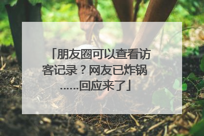 朋友圈可以查看访客记录？网友已炸锅……回应来了
