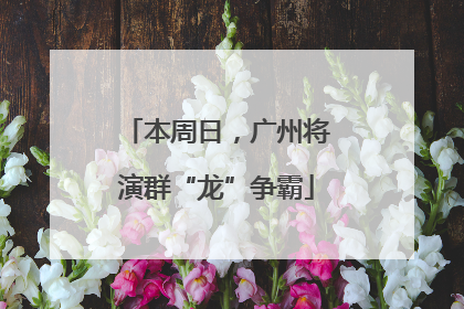 本周日，广州将演群“龙”争霸