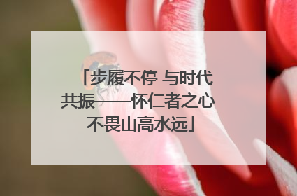步履不停 与时代共振——怀仁者之心 不畏山高水远
