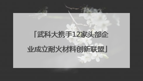 武科大携手12家头部企业成立耐火材料创新联盟
