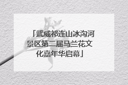 武威祁连山冰沟河景区第二届马兰花文化嘉年华启幕