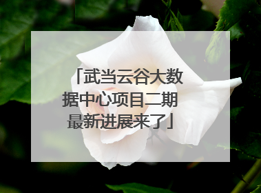 武当云谷大数据中心项目二期最新进展来了