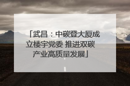 武昌：中碳登大厦成立楼宇党委 推进双碳产业高质量发展
