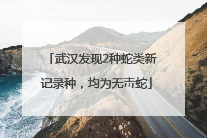 武汉发现2种蛇类新记录种，均为无毒蛇