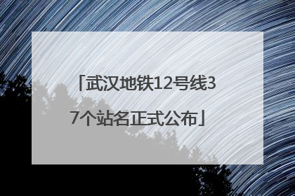 武汉地铁12号线37个站名正式公布