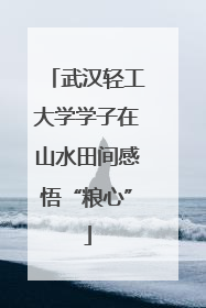 武汉轻工大学学子在山水田间感悟“粮心”