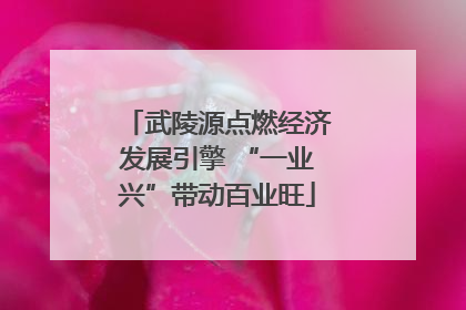武陵源点燃经济发展引擎 “一业兴”带动百业旺