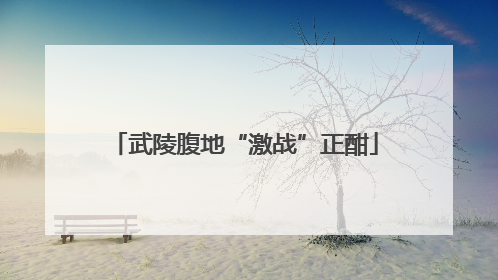 武陵腹地“激战”正酣