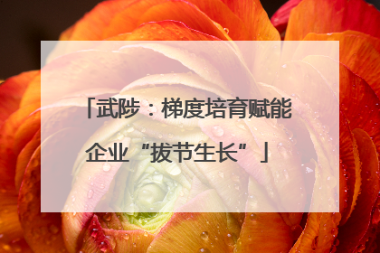武陟：梯度培育赋能企业“拔节生长”