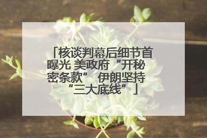 核谈判幕后细节首曝光 美政府“开秘密条款” 伊朗坚持“三大底线”