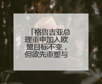 格鲁吉亚总理重申加入欧盟目标不变，但欲先重塑与欧关系