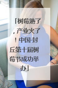 树莓熟了，产业火了！中国·封丘第十届树莓节成功举办