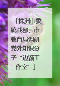 株洲市委统战部、市教育局调研党外知识分子“边颖工作室”