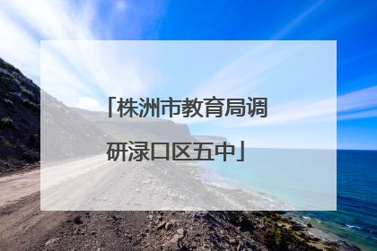 株洲市教育局调研渌口区五中