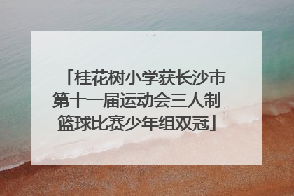 桂花树小学获长沙市第十一届运动会三人制篮球比赛少年组双冠