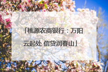 桃源农商银行：万阳云起处 信贷润春山