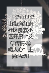 梁山县梁山街道红旗社区良嘉小区开展“艾草传情·粽暖人心”主题活动