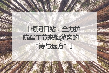 梅河口站：全力护航端午节来梅游客的“诗与远方”