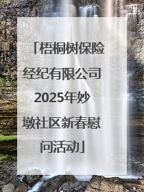 梧桐树保险经纪有限公司2025年妙墩社区新春慰问活动