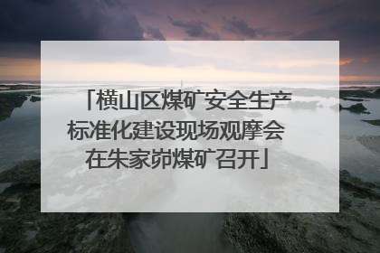 横山区煤矿安全生产标准化建设现场观摩会在朱家峁煤矿召开