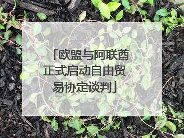 欧盟与阿联酋正式启动自由贸易协定谈判