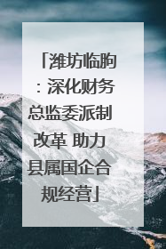 潍坊临朐：深化财务总监委派制改革 助力县属国企合规经营