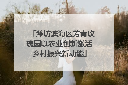 潍坊滨海区芳青玫瑰园以农业创新激活乡村振兴新动能