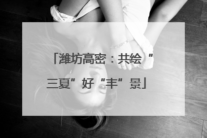 潍坊高密：共绘“三夏”好“丰”景