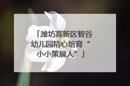 潍坊高新区智谷幼儿园精心培育“小小策展人”