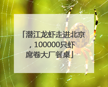 潜江龙虾走进北京，100000只虾席卷大厂餐桌