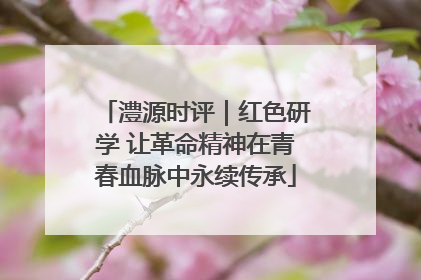 澧源时评｜红色研学 让革命精神在青春血脉中永续传承