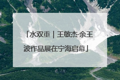 水双重｜王敏杰·余王波作品展在宁海启幕