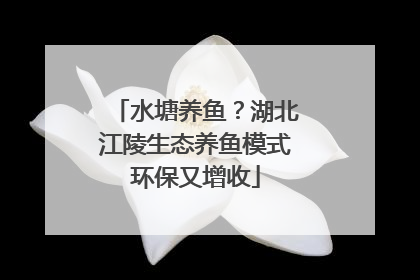 水塘养鱼？湖北江陵生态养鱼模式环保又增收