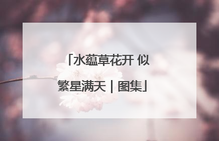 水蕴草花开 似繁星满天｜图集