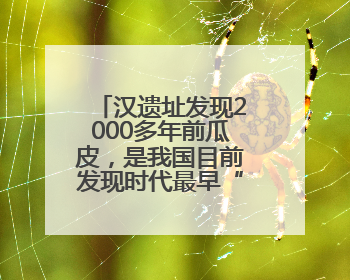 汉遗址发现2000多年前瓜皮，是我国目前发现时代最早“瓜皮”实物→