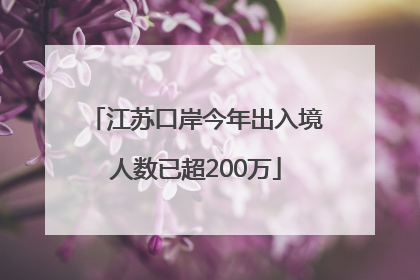 江苏口岸今年出入境人数已超200万