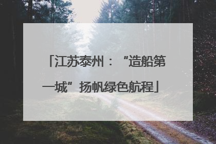 江苏泰州：“造船第一城”扬帆绿色航程