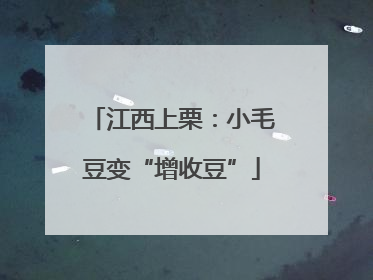 江西上栗：小毛豆变“增收豆”