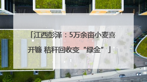 江西彭泽：5万余亩小麦喜开镰 秸秆回收变“绿金”