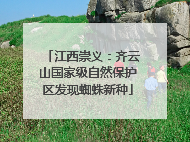 江西崇义：齐云山国家级自然保护区发现蜘蛛新种