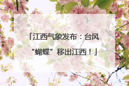 江西气象发布：台风“蝴蝶”移出江西！