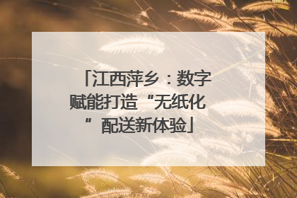江西萍乡：数字赋能打造“无纸化”配送新体验