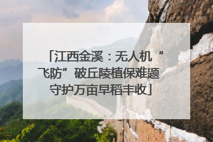江西金溪：无人机“飞防”破丘陵植保难题 守护万亩早稻丰收