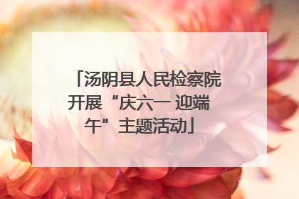 汤阴县人民检察院开展“庆六一 迎端午”主题活动