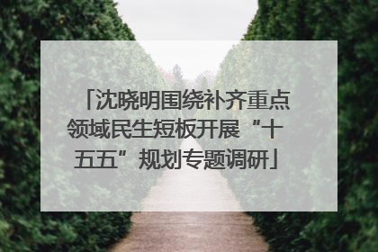 沈晓明围绕补齐重点领域民生短板开展“十五五”规划专题调研